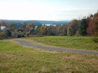 View of new trail from the top of the hill